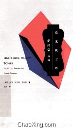 蓝光枕之塔 萨拉蒙诗选