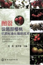 图说设施甜樱桃优质标准化栽培技术