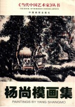 当代中国艺术家丛书 杨尚模画集 中英对照