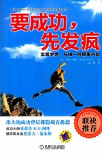 要成功,先发疯 实现梦想,从做一件傻事开始