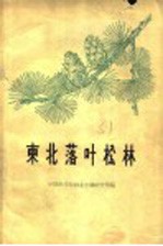 东北落叶松林