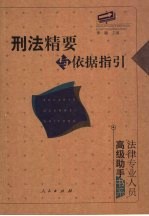 刑法精要与依据指引