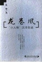 龙卷风 “小人物”沉浮自述