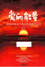 爱的正能量 如何用能力平衡法找到你的真爱