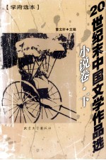 20世纪末中国文学作品选 小说卷 下 学府选本