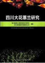 四川大花蕙兰研究