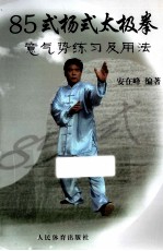 85式杨式太极拳意气势练习及用法