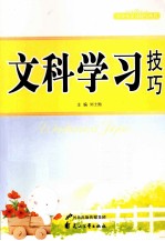 青少年学习技巧丛书 文科学习技巧