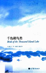 千岛湖鸟类