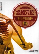 经络穴位标准图册 超大真人版