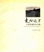 走向远方 王海洋摄影作品集