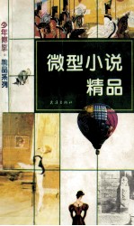 微型小说精品