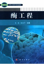酶工程 案例版
