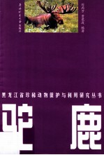 黑龙江省珍稀动物保护与利用研究丛书 驼鹿