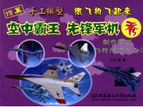 空中霸王 先锋军机秀