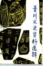青川文史资料选辑 第4辑
