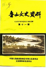 鲁山文史资料 第11辑