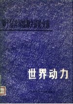 世界动力 第十届世界能源会议论文选