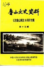 鲁山文史资料 第13辑