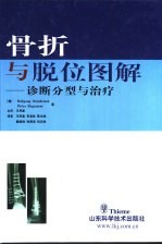 骨折与脱位图解 诊断分型与治疗
