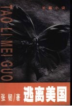 逃离美国 长篇小说