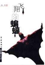 飞翔的蝙蝠