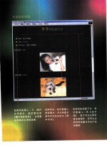 新手做网页 第4章 设计基本的动态网页