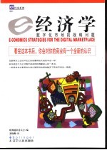 e经济学 数字化市场的战略问题