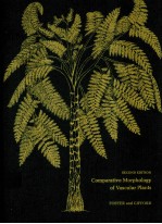 COMPARATIVE MORPHOLOGY OF VASCULAR PLANTS SECOND EDITION