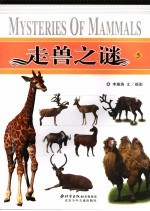 走兽之谜 5