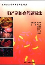 妇产科热点问题聚焦