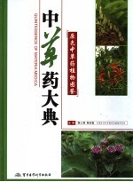 中草药大典 下