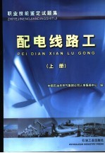职业技能鉴定试题集 配电线路工 上