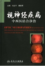 视神经疾病中西医结合诊治
