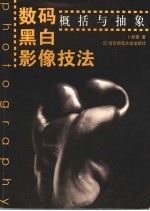 数码黑白影像技法:概括与抽象