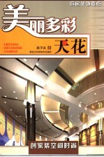 美丽多彩-天花 厨房装饰要点
