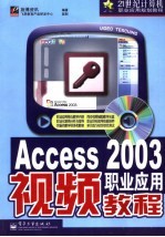 Access 2003职业应用视频教程