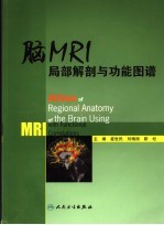 脑MRI局部解剖与功能图谱