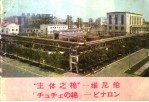 “主体之棉”：维尼纶