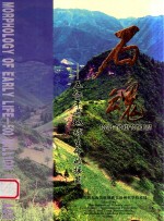 石魂 五亿年前地球生命的摇篮