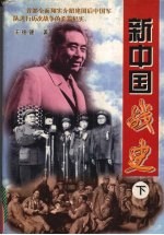 新中国战史 下