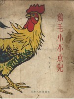 鸡毛小不点儿 童话