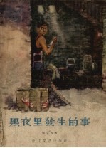 黑夜里发生的事