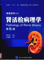 肾活检病理学
