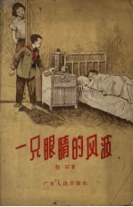 一只眼睛的风波