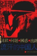 流汗的中国人 现状·问题·困惑·出路