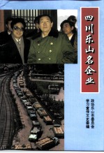 乐山文史资料 第15辑 四川乐山名企业