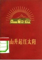 韶山升起红太阳