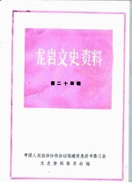 龙岩文史资料 第24辑