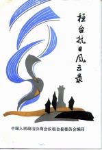 桓台抗日风云录